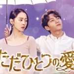 韓国ドラマ「ただひとつの愛」のあらすじは？キャストはシン・ヘソン、エル、イ・ドンゴンなど