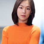 韓国女優のハン・イェリは大久保佳代子に激似の演技派女優！映画「ミナリ」で有名になる