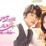 韓国ドラマ「ヒョンジェは美しい」は、三兄弟の婚活ホームドラマ＆ラブコメディ