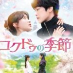 韓国ドラマ「コクドゥの季節」は時空を超えたラブストーリー