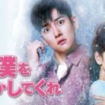 チ・チャンウク主演の韓国ドラマ「僕を溶かしてくれ」の感想など